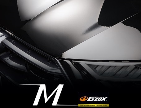 ガラスボディコート