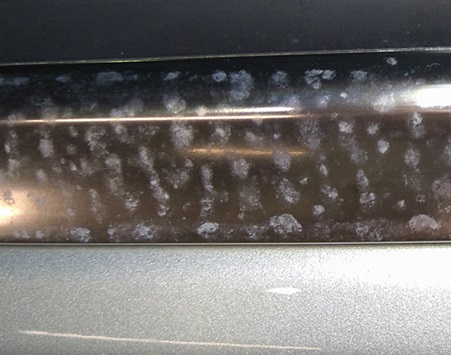 モール(白サビ)磨き＆ハードコート