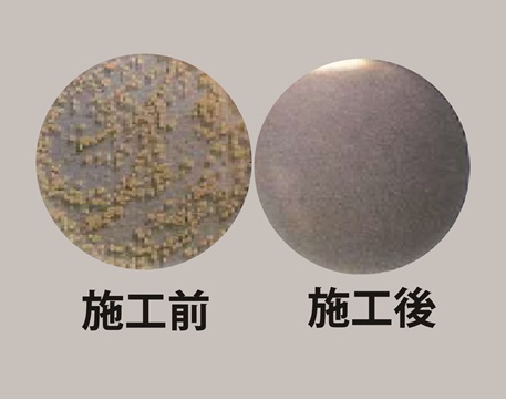 オゾン殺菌消臭